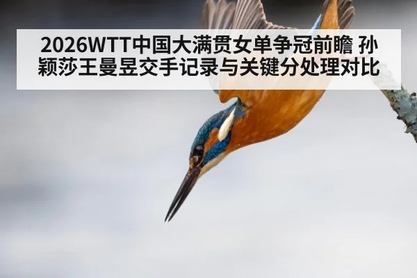 2026WTT中国大满贯女单争冠前瞻 孙颖莎王曼昱交手记录与关键分处理对比